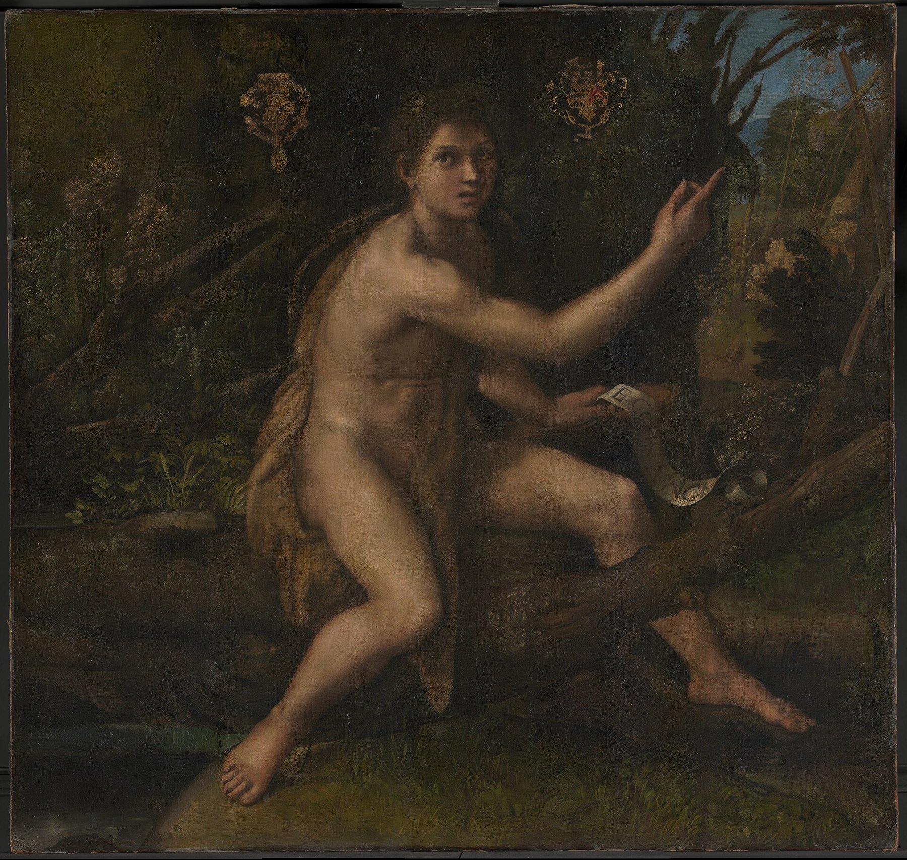 Saint John the Baptist in the Desert — Raphael