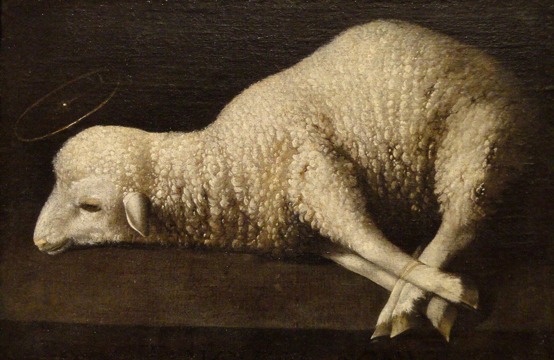 Agnus Dei — Francisco de Zurbarán