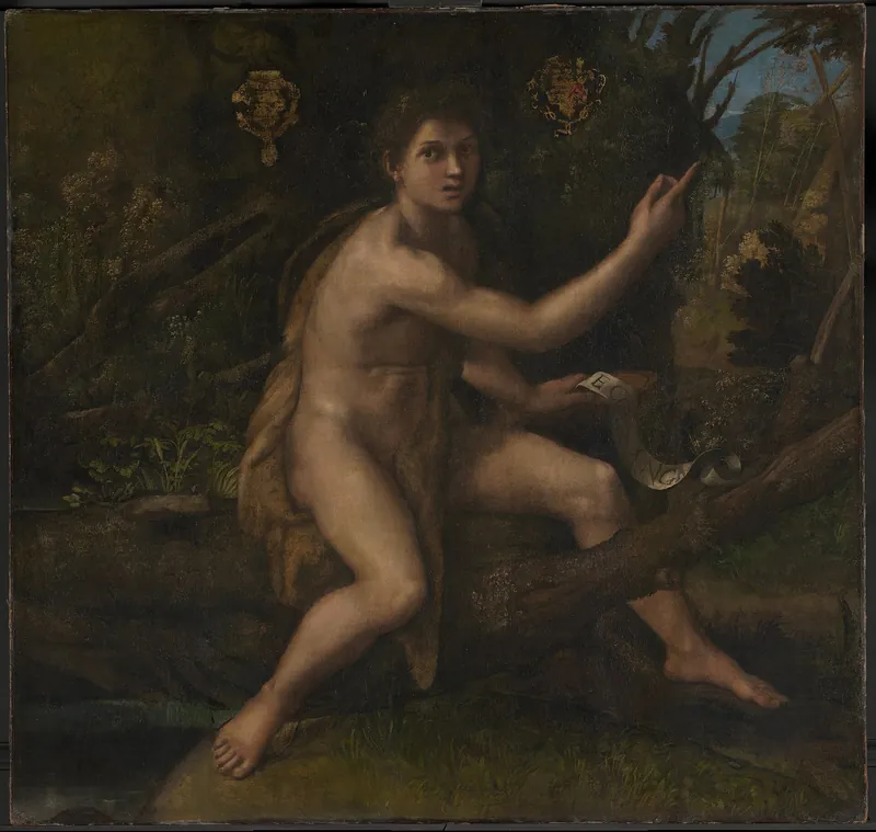 Saint John the Baptist in the Desert — Raphael (Italian, 1483–1520)